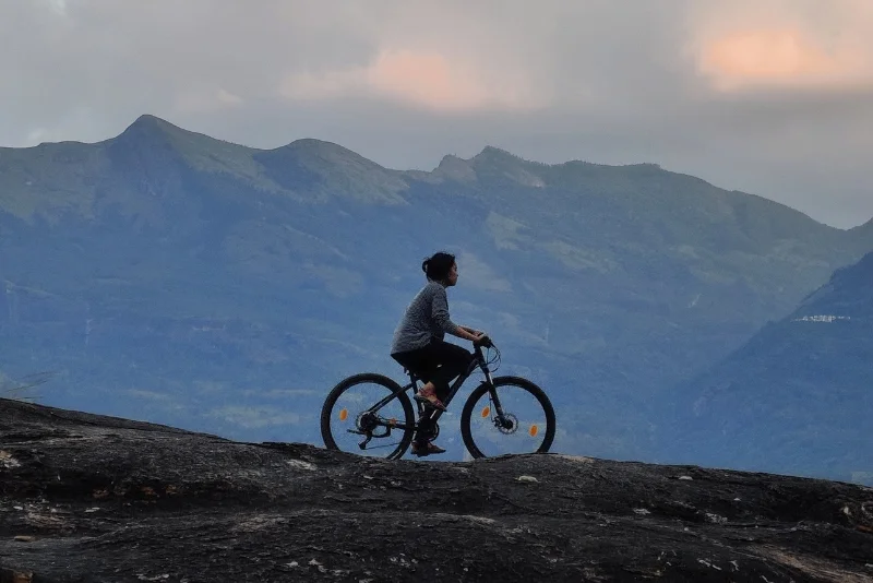 Cycling and Forest Trails